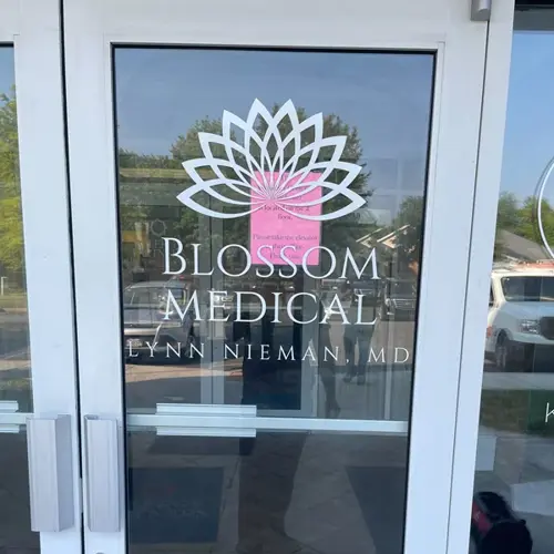 Vinyl Graphics